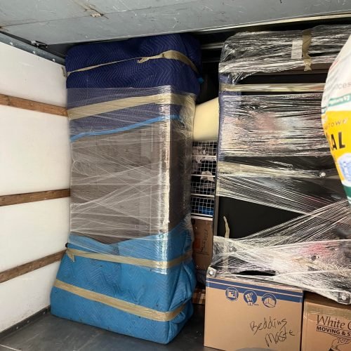 334650464_1544055226122217_4214821614099699671_n