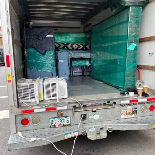 340290216_1294613471484632_112728032929835893_n