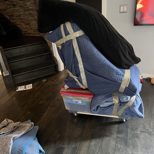 436772922_310331668546357_2977484892857912256_n